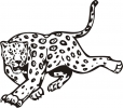 Ein Gepard auf Raubzug