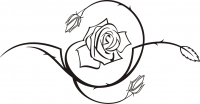 Rose im Kreis liegend